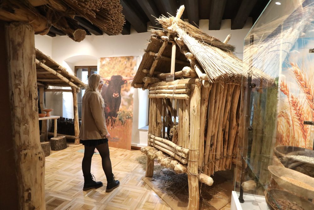 Zážitková výstava Život v dobe kamennej
