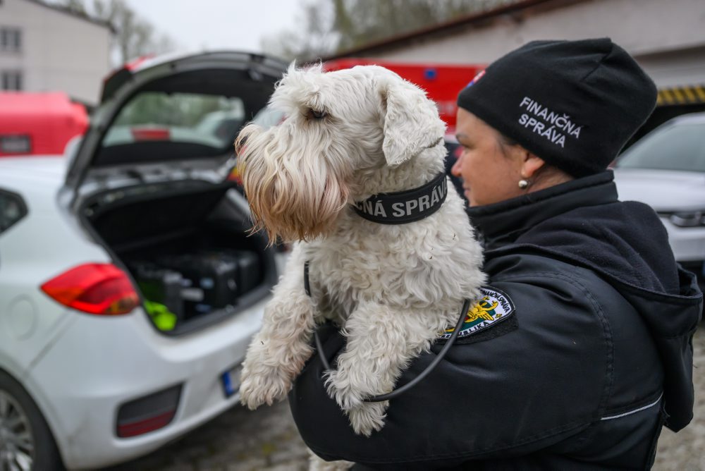 Bezpečnostné zložky spustili akciu Zelená II, kontroly sú nielen na hraniciach