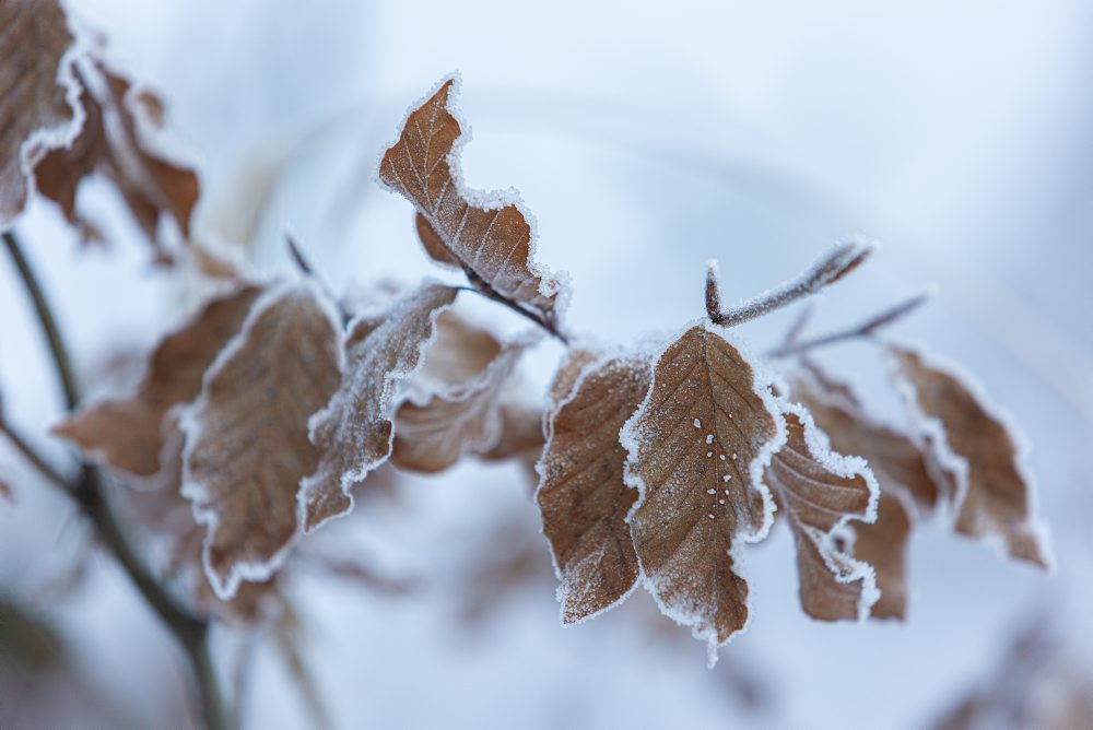 Zimná krajina na Kysuciach 