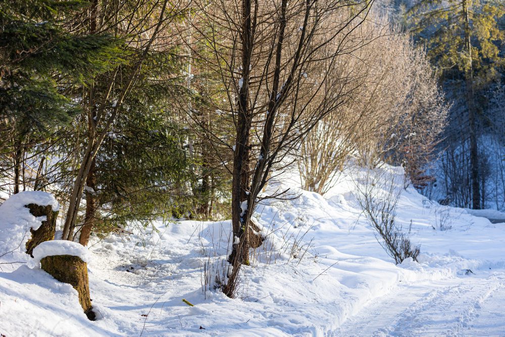 Zimná krajina na Kysuciach 