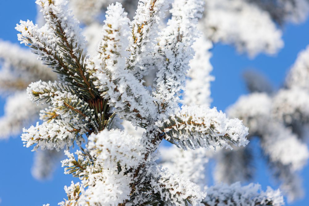 Zimná krajina v Rajeckej doline