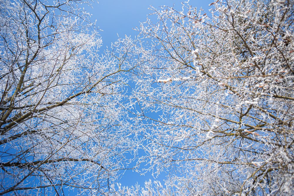 Zimná krajina v Rajeckej doline
