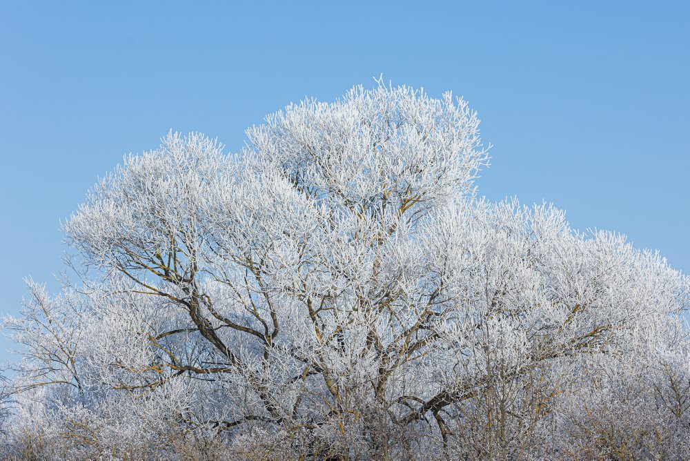 Zimná krajina v Rajeckej doline
