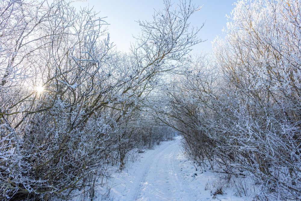 Zimná krajina v Rajeckej doline