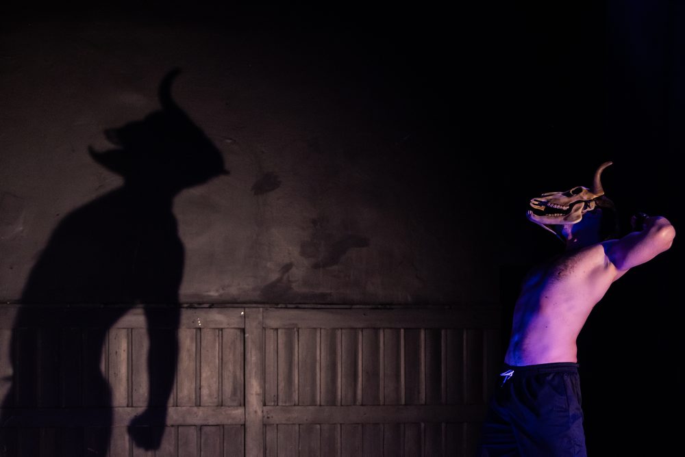 Otvorená skúška pred premiérou novej inscenácie The Island of Misfit Toys v Mestskom divadle v Žiline