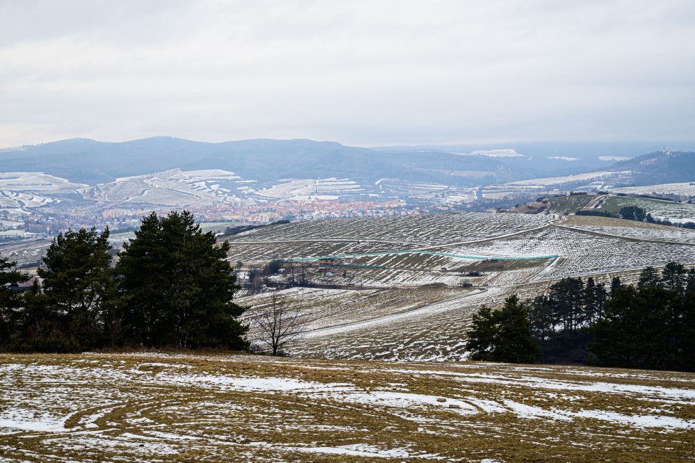 Rozhľadňa na Medveďom vrchu