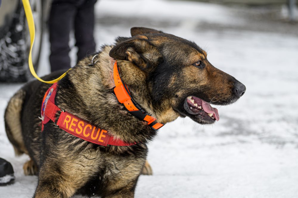 TK Horskej záchrannej služby a poisťovne Generali