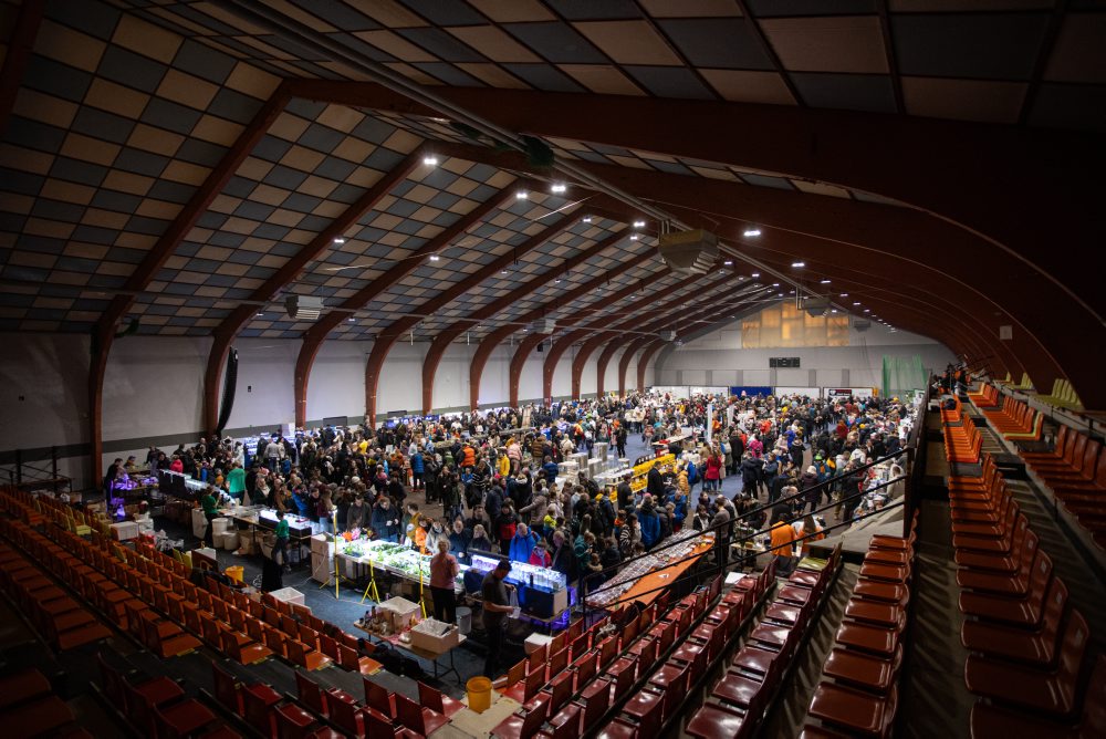 Svet exotiky - burza akvaristiky a teraristiky v Martine