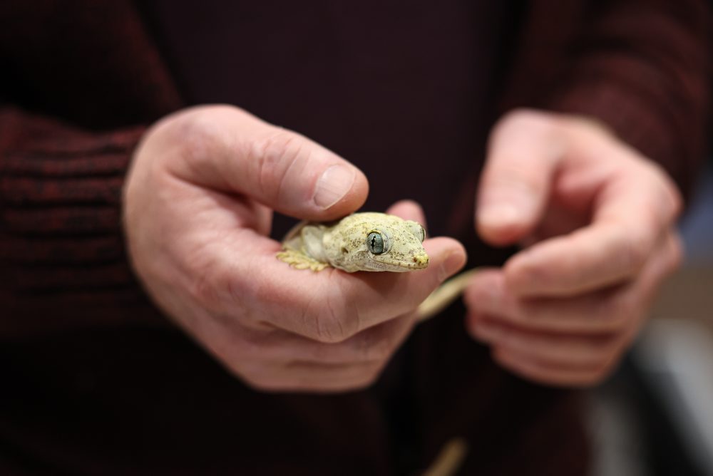 Svet exotiky - burza akvaristiky a teraristiky v Martine