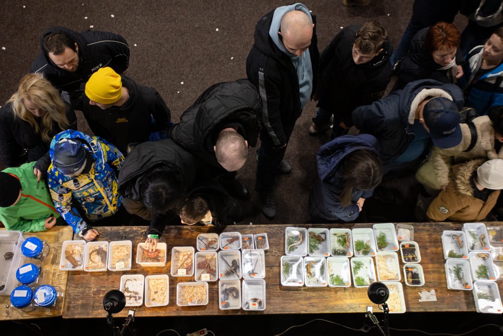 Svet exotiky - burza akvaristiky a teraristiky v Martine