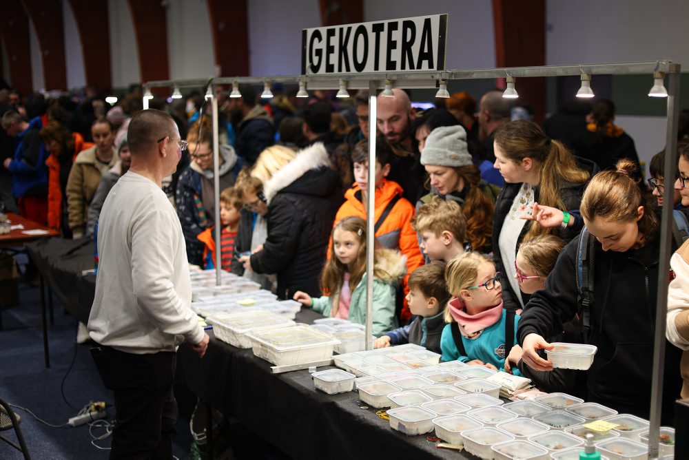 Svet exotiky - burza akvaristiky a teraristiky v Martine