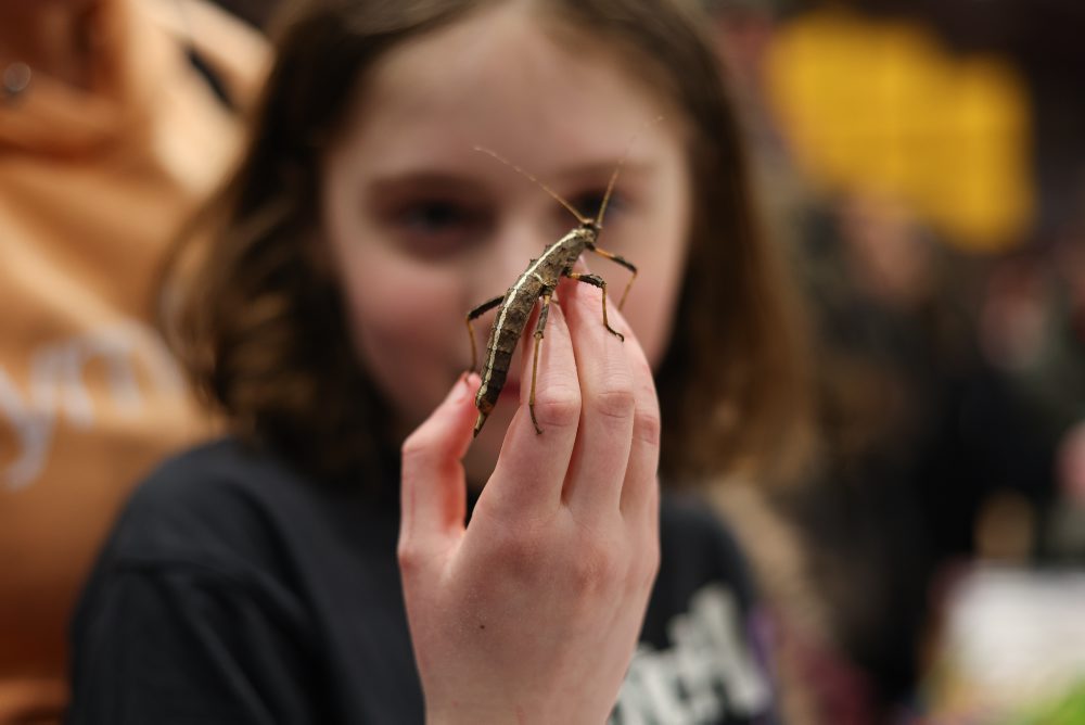 Svet exotiky - burza akvaristiky a teraristiky v Martine