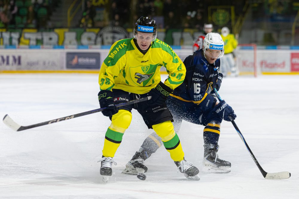 Vlci Žilina - HK Spišská Nová Ves