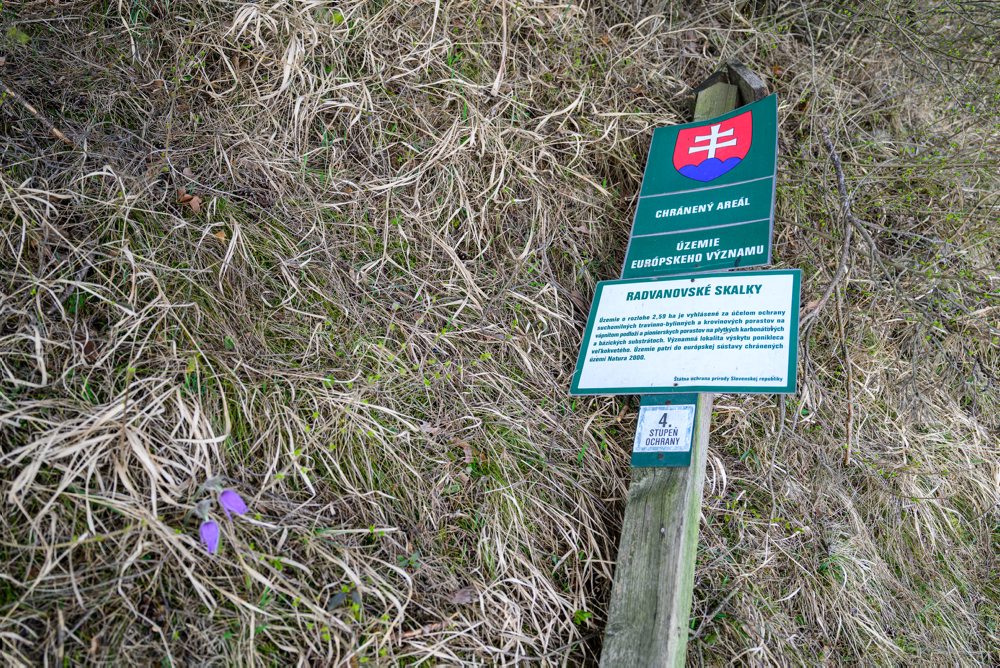 Príroda v chránenom areály Radvanovské skalky