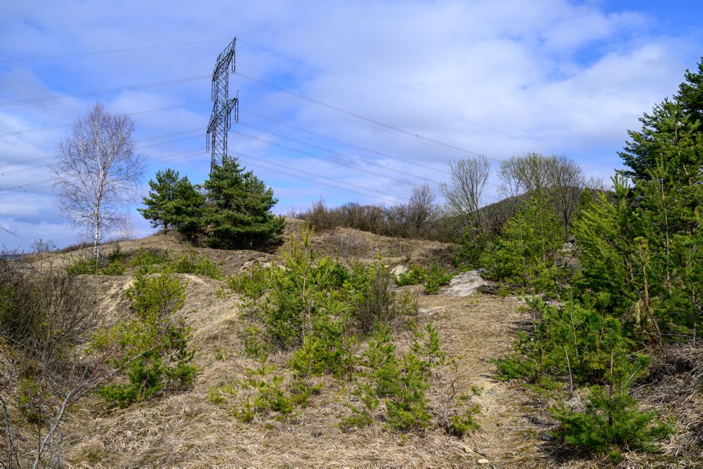 Príroda v chránenom areály Radvanovské skalky