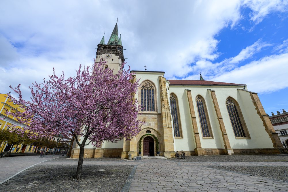 Okrasné slivky rozžiarili Gorkého ulicu v Prešove
