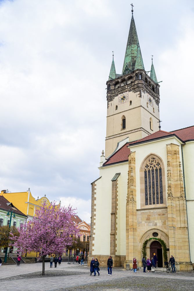Okrasné slivky rozžiarili Gorkého ulicu v Prešove