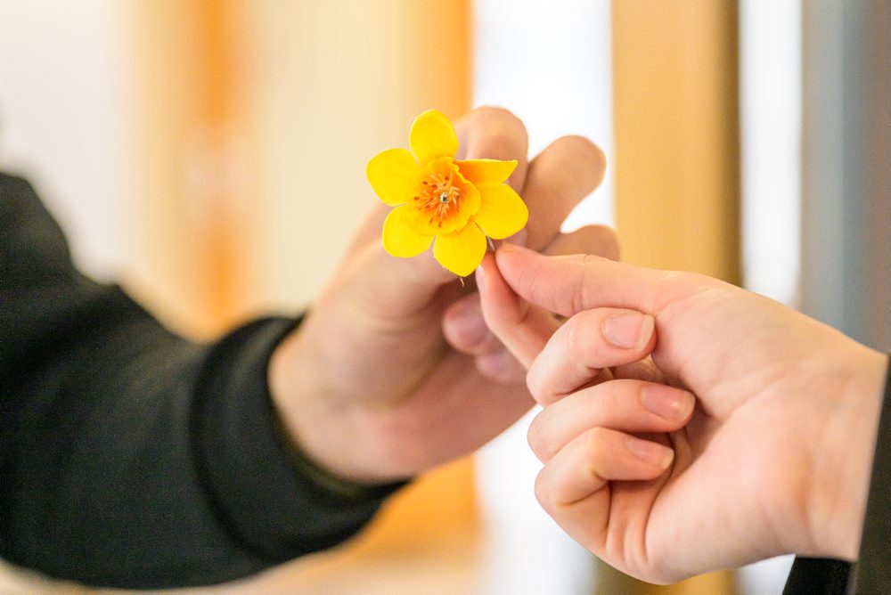 Deň narcisov v Prešove 