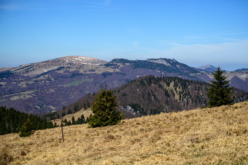 Výhľady z vrchu Zvolen vo Veľkej Fatre 