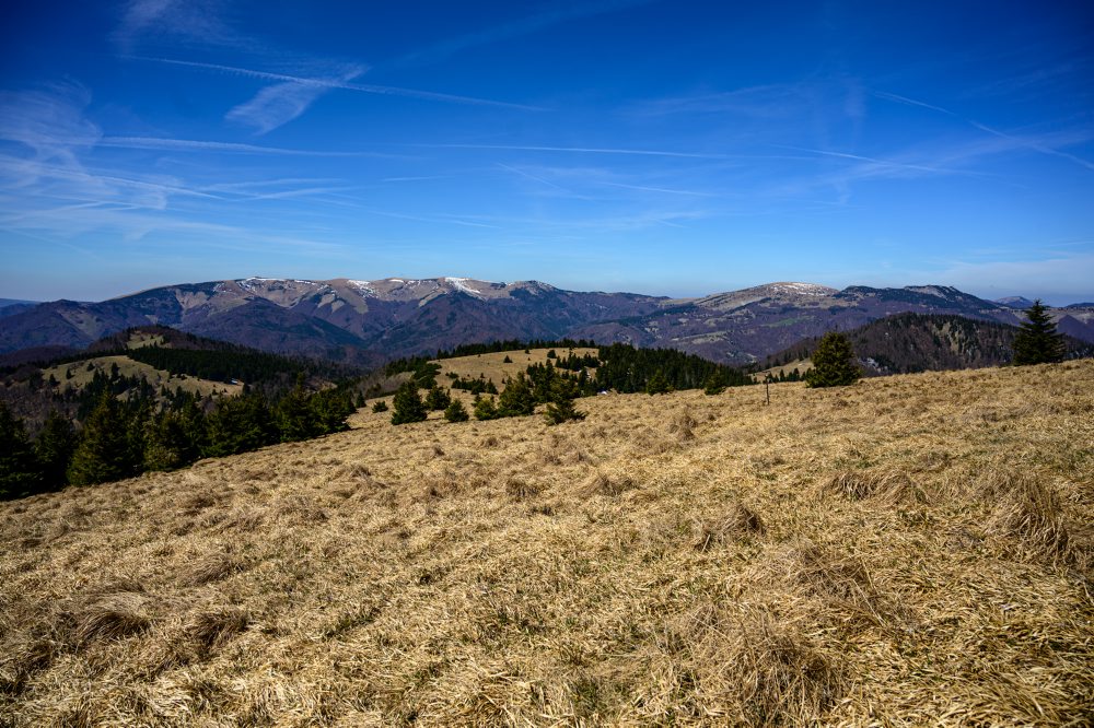 Výhľady z vrchu Zvolen vo Veľkej Fatre 