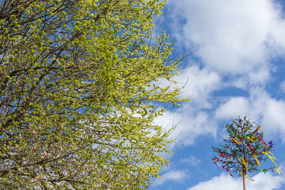 V Múzeu slovenskej dediny v Martine predstavili ľúbostné zvyky v minulosti