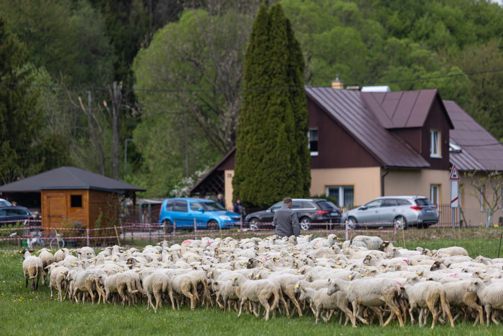4. ročník Jarných slávností býka & Bača festu v Čiernom