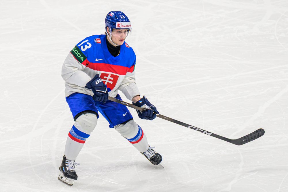 Slovinsko - Slovensko