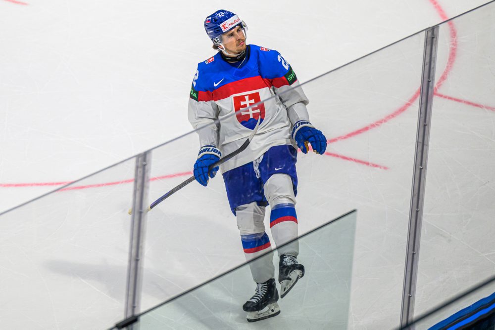 Slovinsko - Slovensko