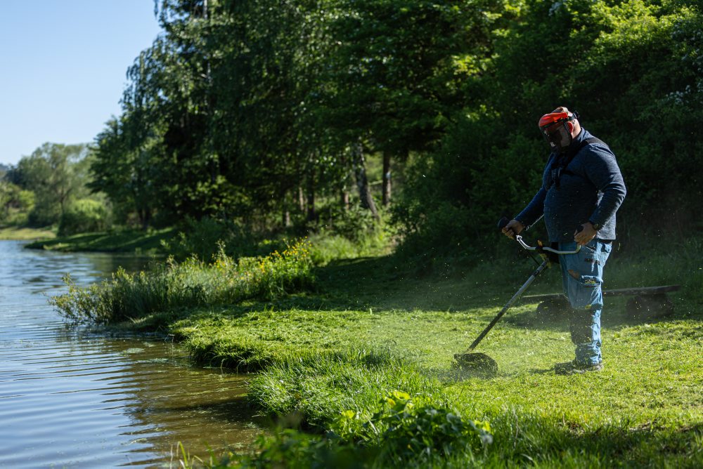 Revitalizácia prostredia vodnej nádrže Košiare