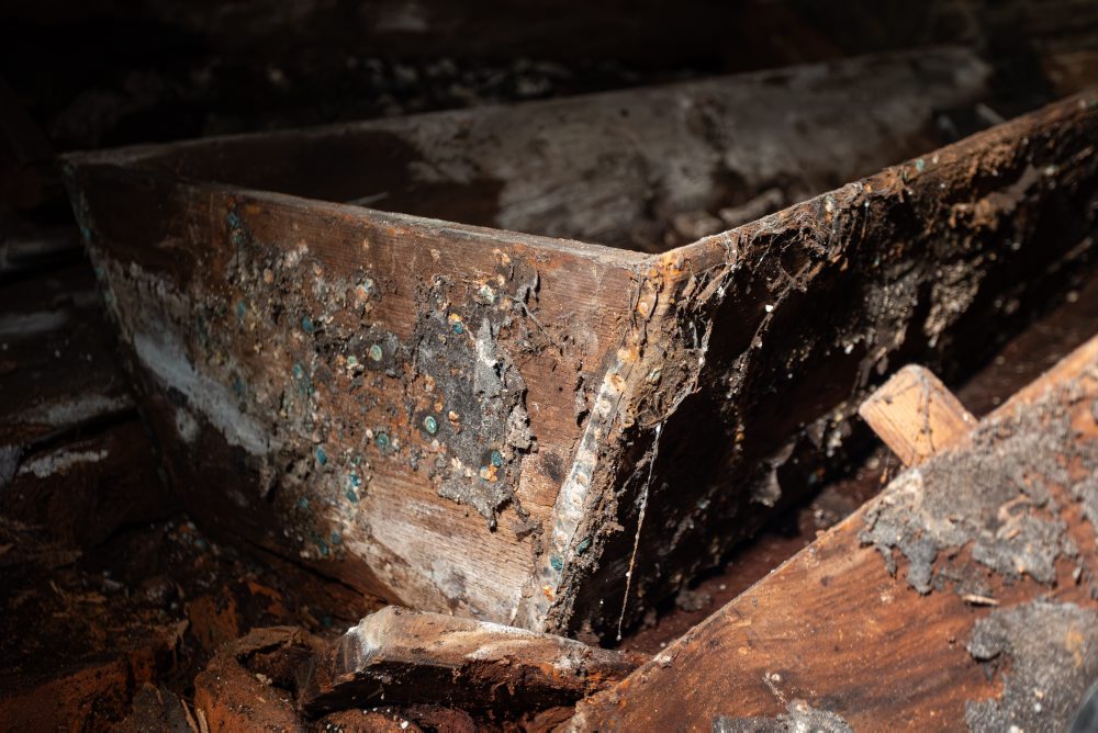 Archeologický výskum pri Burianovej veži v Žiline