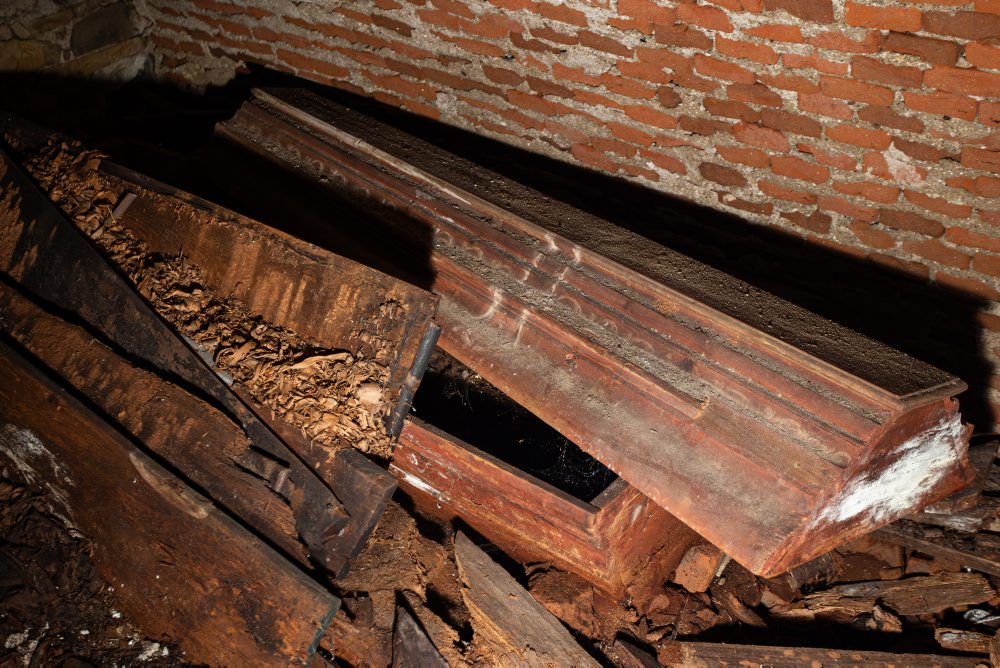 Archeologický výskum pri Burianovej veži v Žiline
