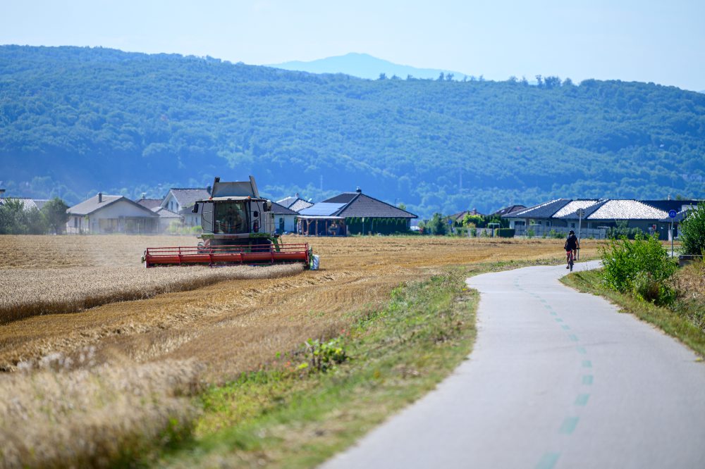 Žatva na východe Slovenska 