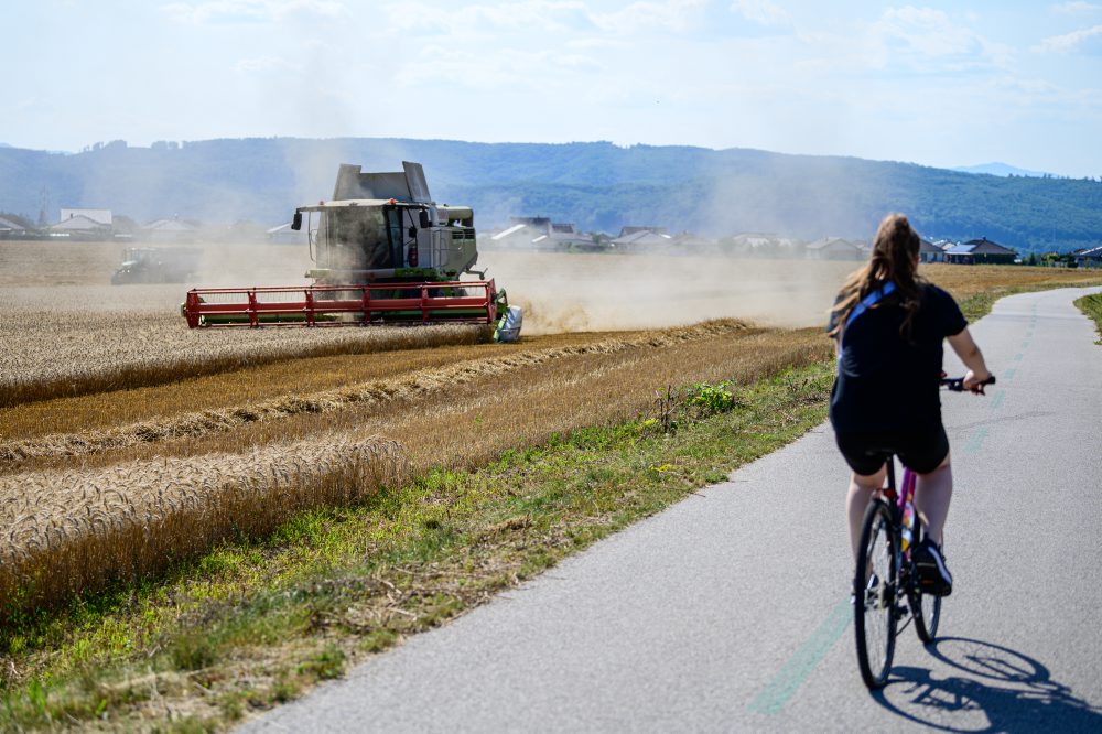 Žatva na východe Slovenska 
