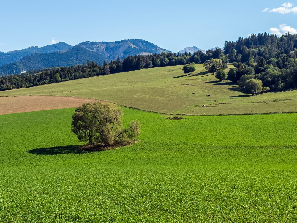 Príroda na Liptove 