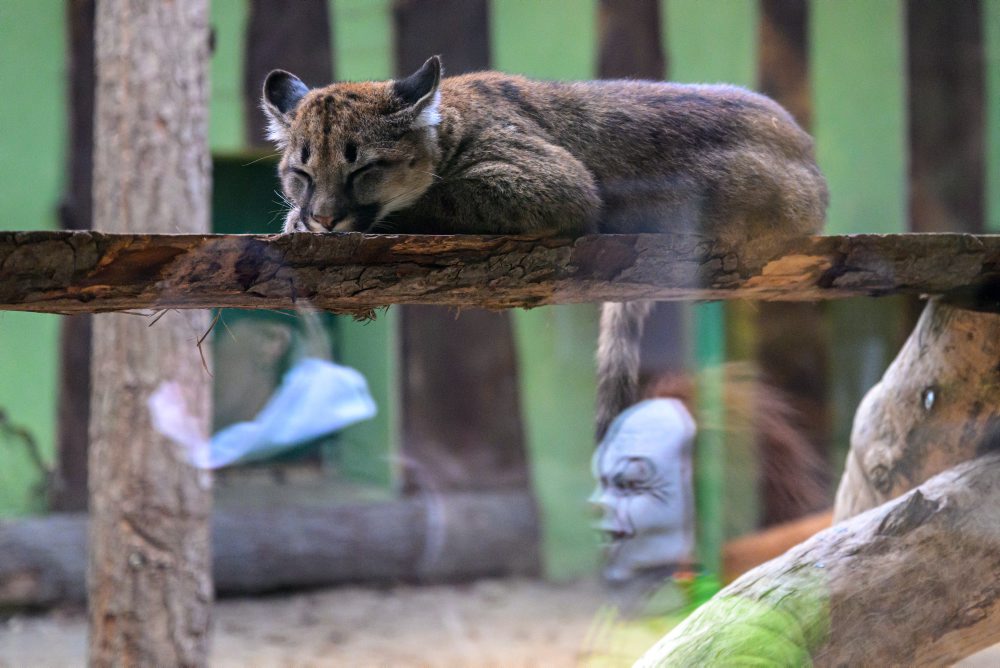 Strašidelná noc v Zoo v Spišskej Novej Vsi 