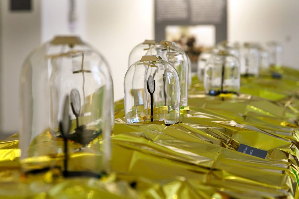 Otvorenie výstavy Tajomstvo pokladu mincí z Pinkových Kračian na Bratislavskom hrade