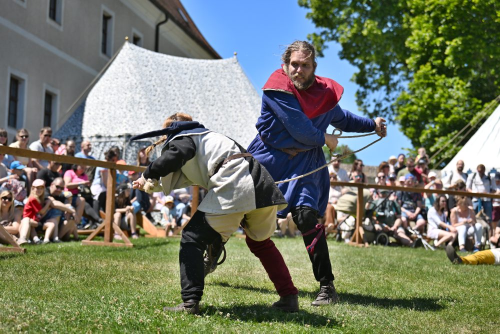 Festival Rotenstein na Hrade Červený Kameň pri obci Častá