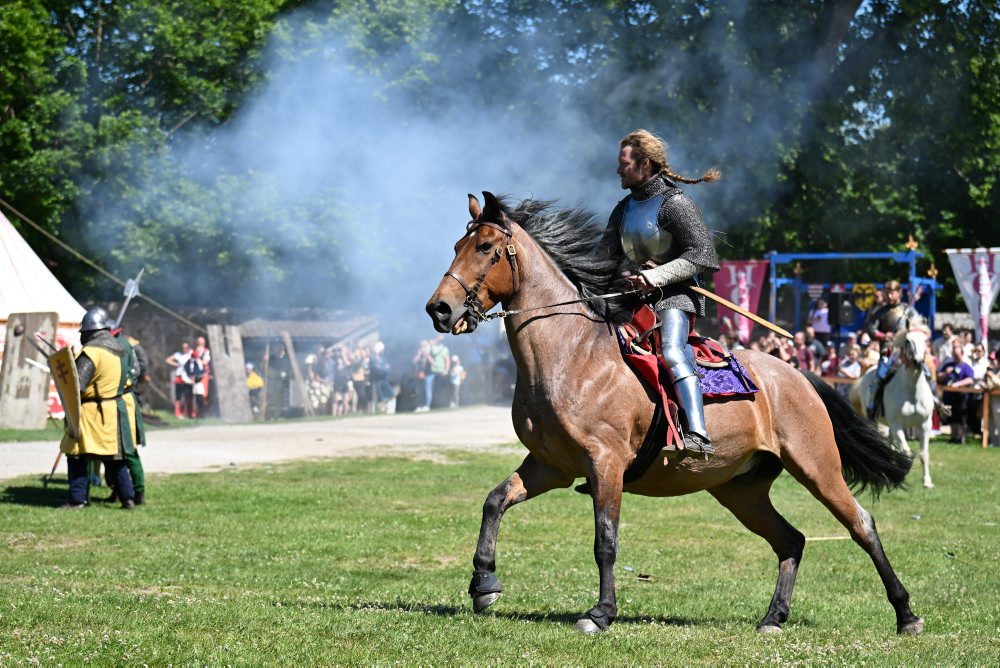 Festival Rotenstein na Hrade Červený Kameň pri obci Častá