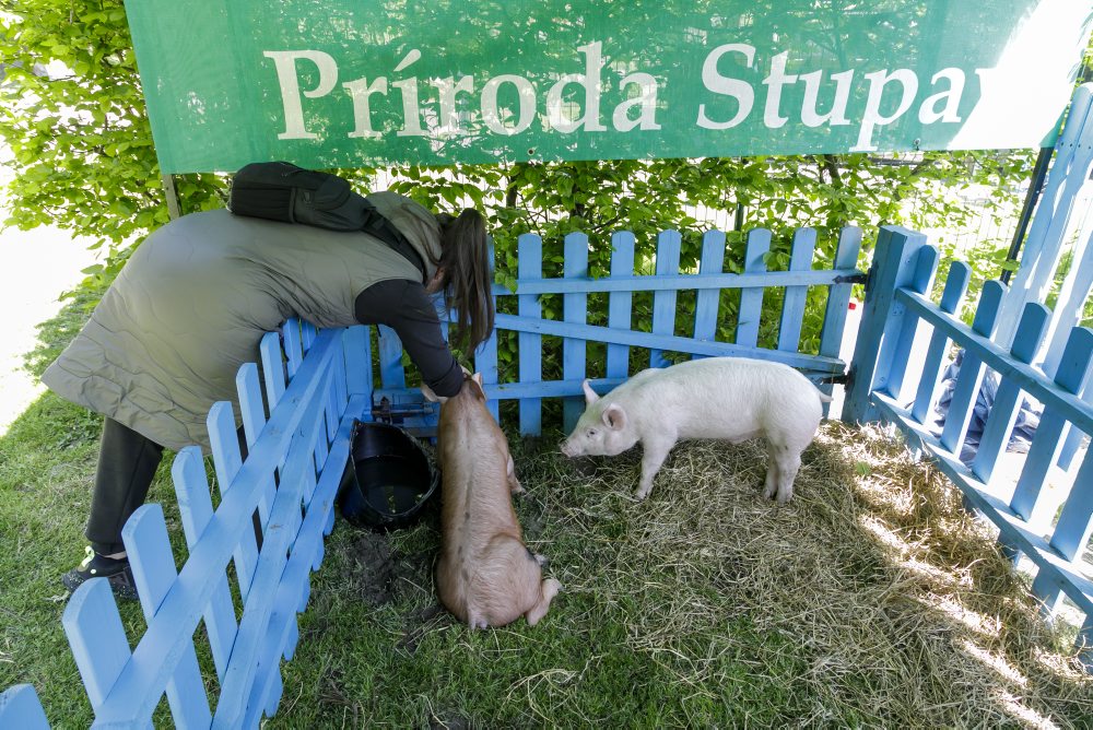 Lesnícke dni v bratislavskom lesoparku
