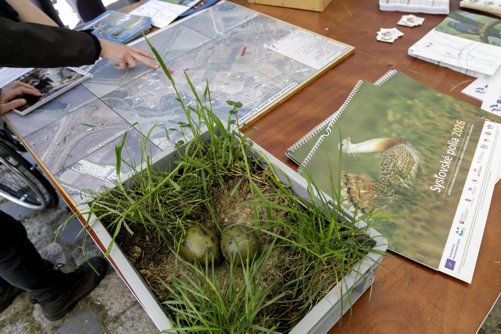 Lesnícke dni v bratislavskom lesoparku