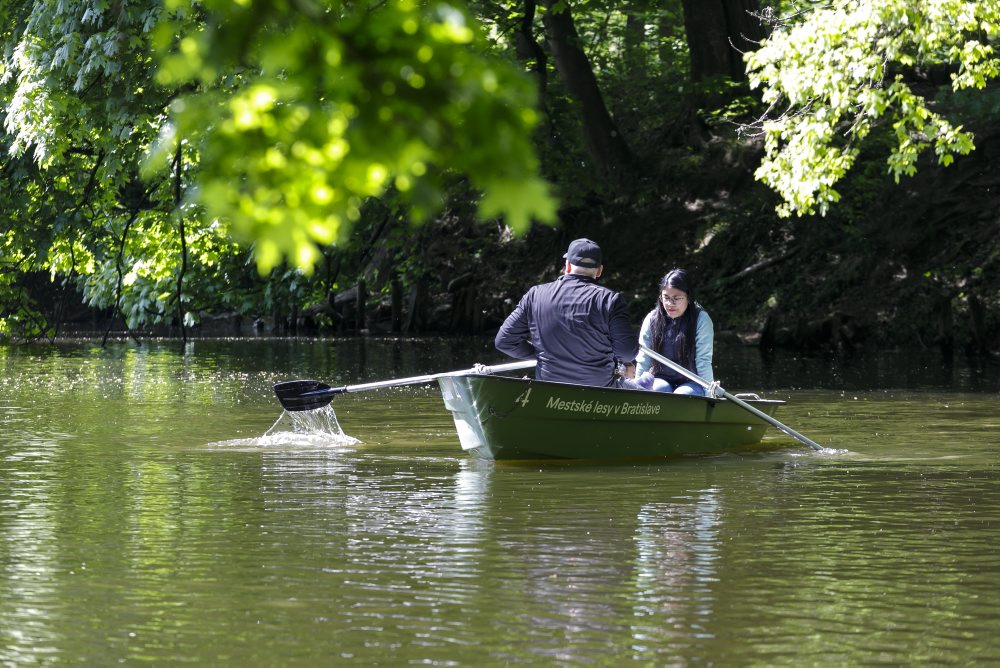 Člnkovanie na rybníku pri Partizánskej lúke v bratislavskom lesoparku