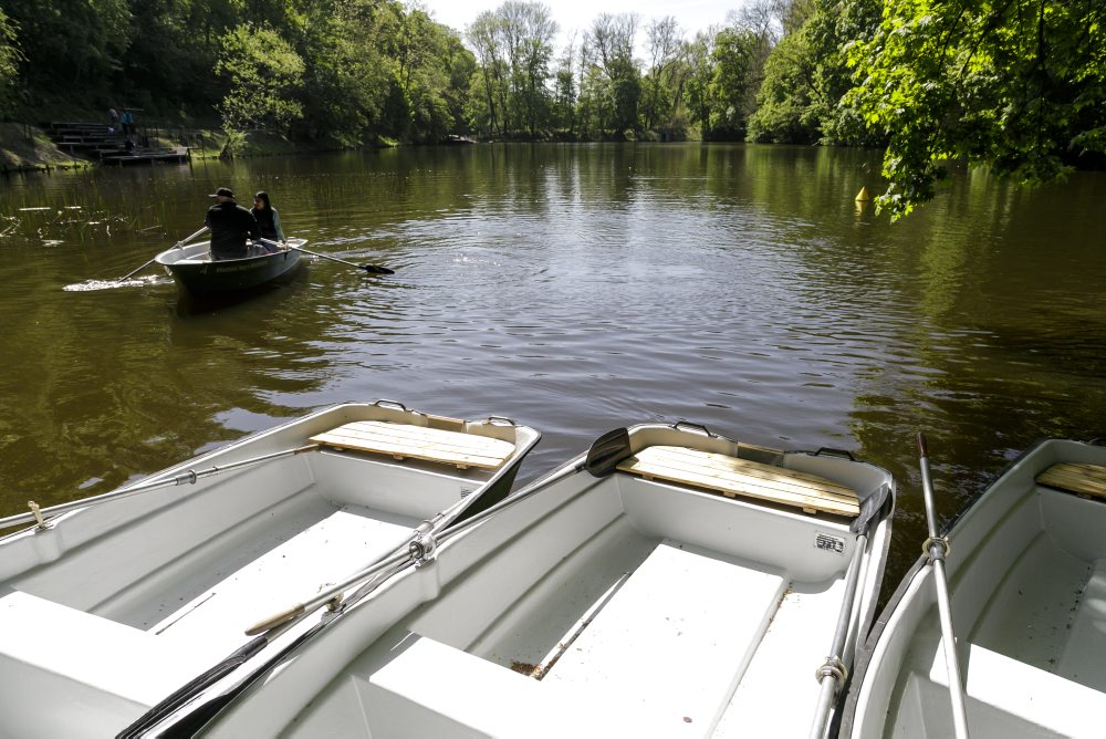 Člnkovanie na rybníku pri Partizánskej lúke v bratislavskom lesoparku