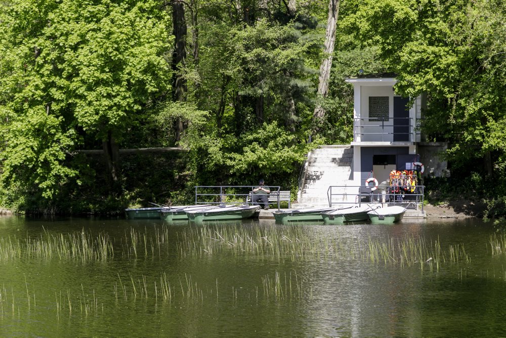 Člnkovanie na rybníku pri Partizánskej lúke v bratislavskom lesoparku