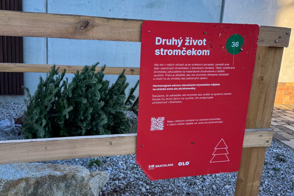 V Bratislave opäť osadili 730 drevených ohrádok na zber vianočných stromčekov