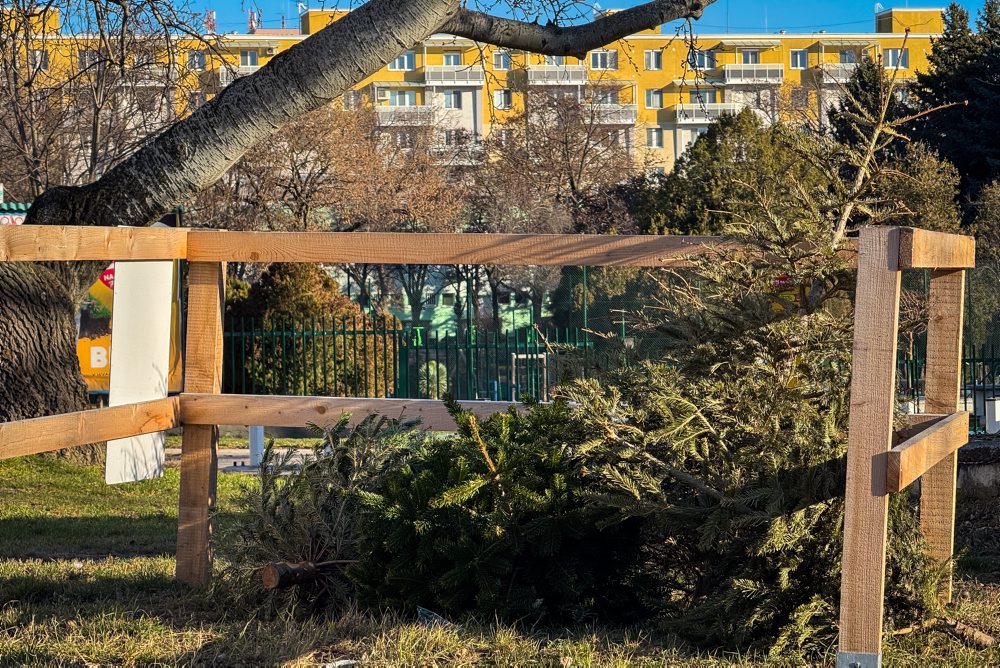 V Bratislave opäť osadili 730 drevených ohrádok na zber vianočných stromčekov