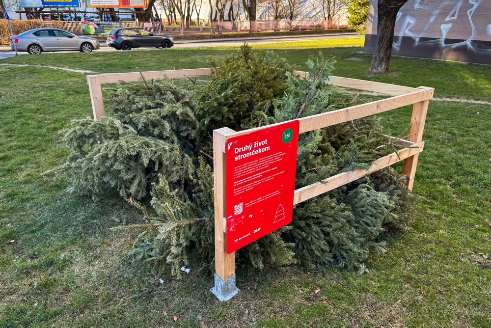 V Bratislave opäť osadili 730 drevených ohrádok na zber vianočných stromčekov