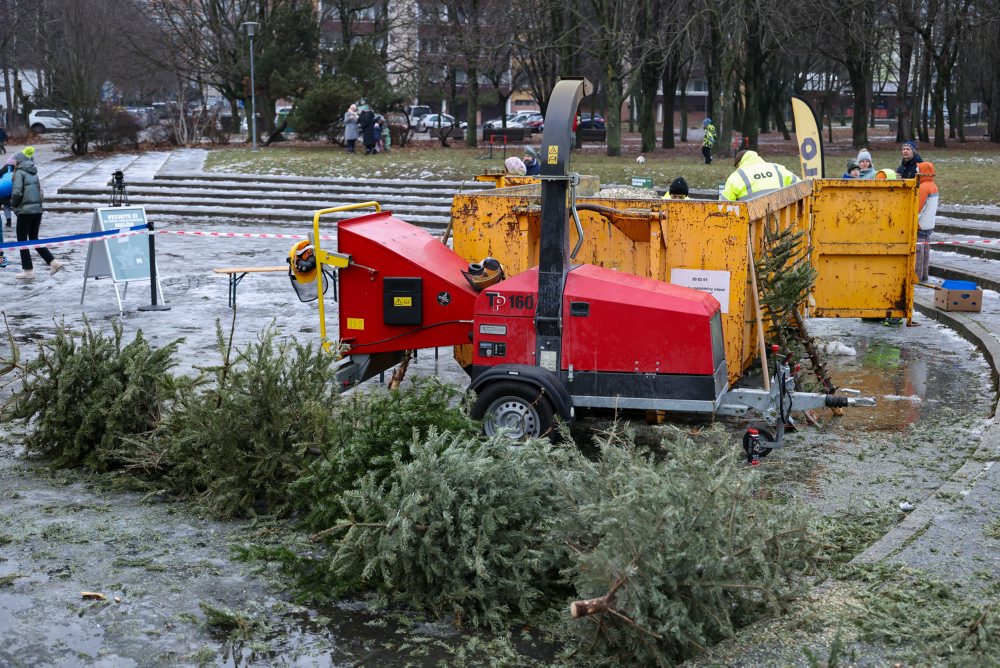 Novoročná mulčovačka v Dúbravke