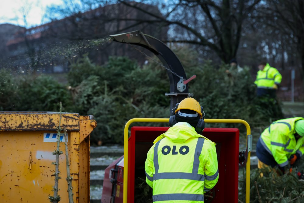 Novoročná mulčovačka v Dúbravke