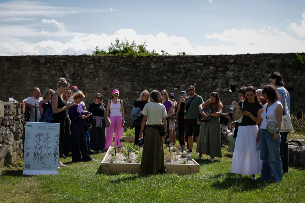 Multižánrový festival Sútok 2026 v Bratislave