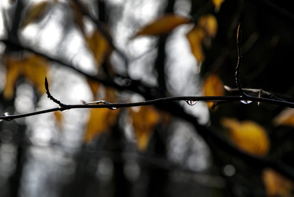 Rekreačná lokalita Železná studnička v Bratislave